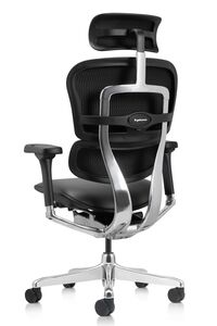 Кресло для руководителя Ergohuman Elite 2