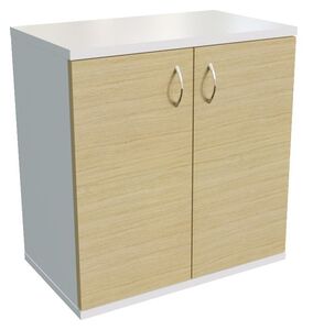 Шкаф-купе 143